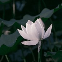 呵呵呵呵呵哒