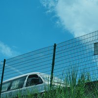 橙留香C