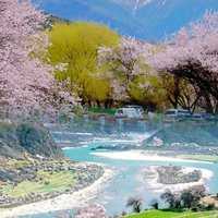 爱旅行的小哥