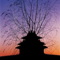 大西DAXI