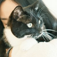 爱拍照的miaow