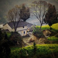 清晰为上