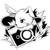 Rabbit_刘