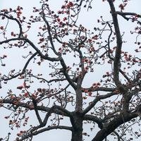 永不消逝的电波