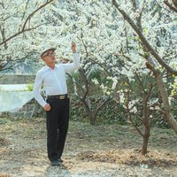 十指扣
