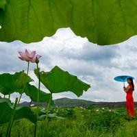 立松老牛