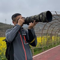 蓝色贝雷ZM