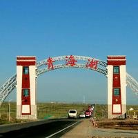 老西北狼