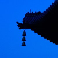爱吃香蕉的小潘