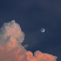 孤独的小贵