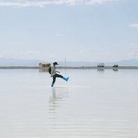 Tedo