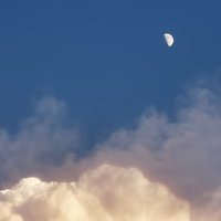 灰太狼啊