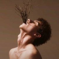 远方的我喜欢你