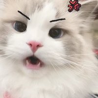 找不到地理书