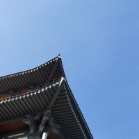 小小之植物