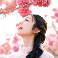 喵了个咪Z先生