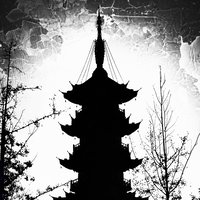 虫马虫义