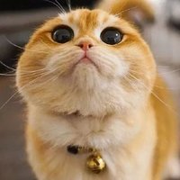 潘家二少
