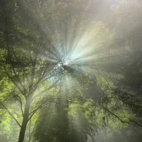 揣着小糖