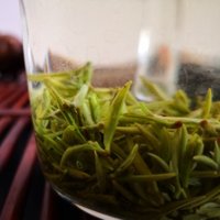俞凯议