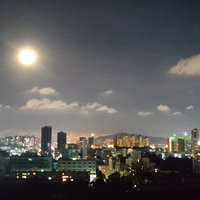 XiaogaoGemini