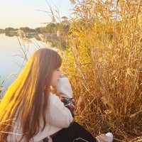Foxfairy