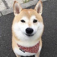 影像部