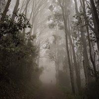 忽然之迷