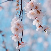 日常烟火