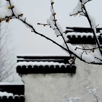 中霖书苑