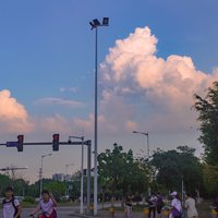 欣藏xinzang