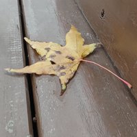 随拍行者