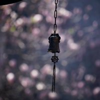 一泓秋水1