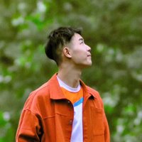 东野木南