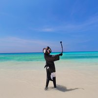 凝帆zx