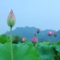 旅行摄影365
