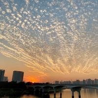 我就是王小兮吖