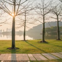 城市_风光