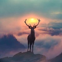 散步鑫山