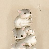 幻智脩月