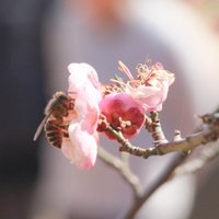 想攒钱换台好单反