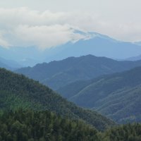 斯塔克安