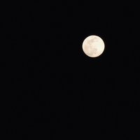 天上张大宝