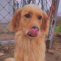 菲林_coco