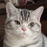 盆盆的退休生活
