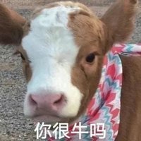 芋头巴士鸭