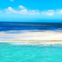龙沧海