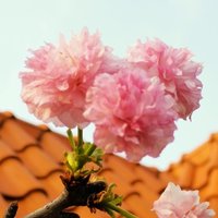 向美好风景出发