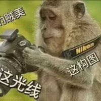 Oranges橙子洲头