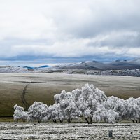 让我心情平静